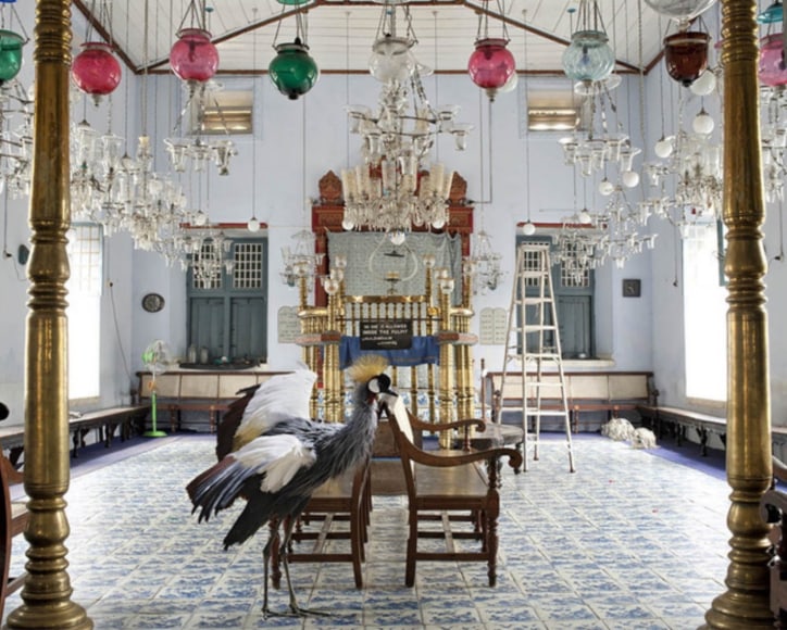 Karen Knorr, The Exodus, Paradesi Synagogue, Kochi, 2012, colour pigment print on Hahnemühle Fine Art Pearl Paper, 60 x 76.2 cm (23.6 x 30 inches)