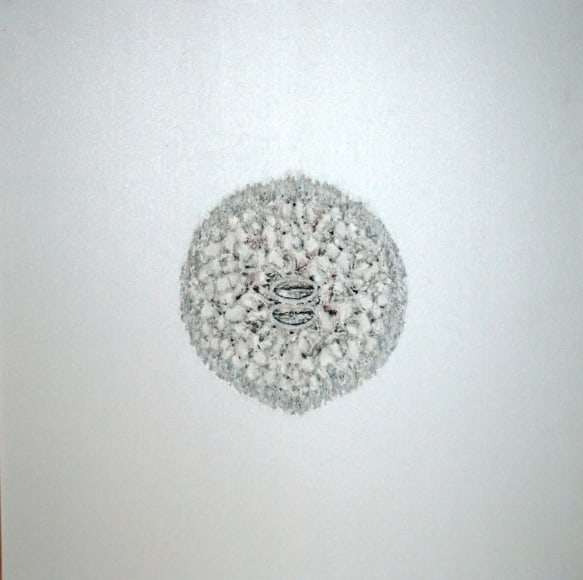 Sohan Qadri, Spirited Fossil, 1974, oil on canvas, 32 x 32"
