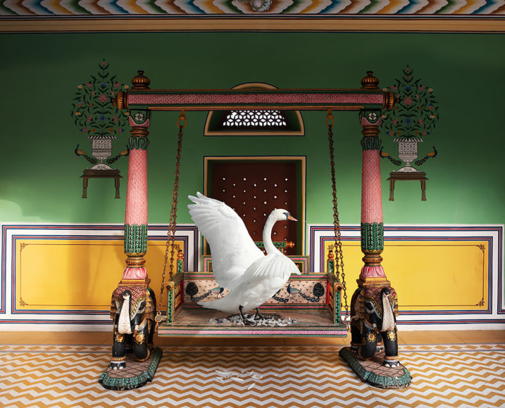 Karen Knorr, Saraswati’s Landing, Narain Niswas, Jaipur, 2023, colour pigment print on Hahnemühle Fine Art Pearl Paper, 100 x 80 cm (31.5 x 39.4 inches)