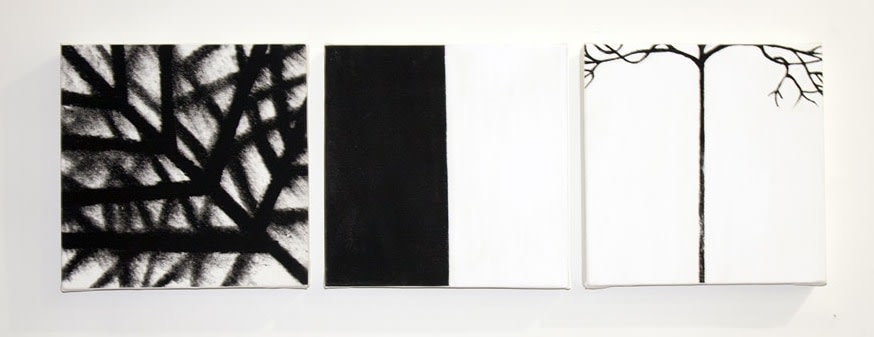 Susan Weil, Three, 2012, mixed media on canvas, 30.5 x 97.8 cm (12 x 38.5 inches)