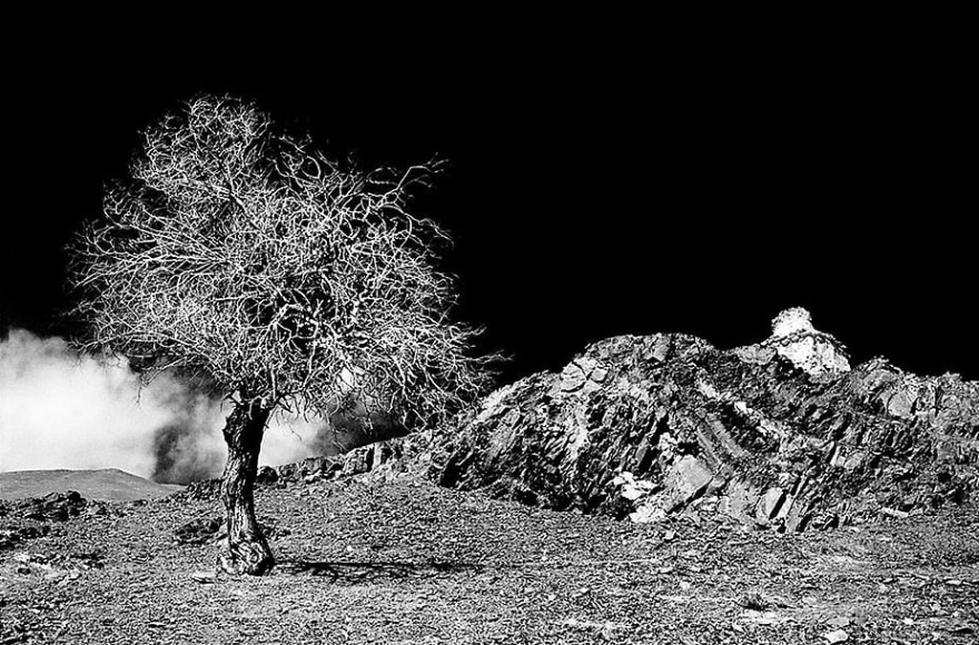 Holy Ground, Ladakh, 2004