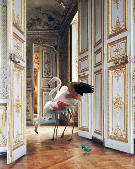 The Grand Monkey&nbsp;Room 2 (Ch&acirc;teau de Chantilly), 2006, colour Pigment print on Hahnem&uuml;hle Fine Art Pearl Paper,&nbsp;35.4 x 27.6 inches/90 x 70 cm