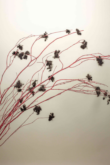 Qiana Mestrich, Strange Bush from Thrall, 2018, archival inkjet print, 30.5 x 45.7 cm (12 x 18 inches)