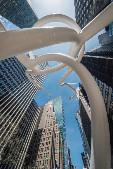 Photo by Alexandre Ayer / Diversity Pictures