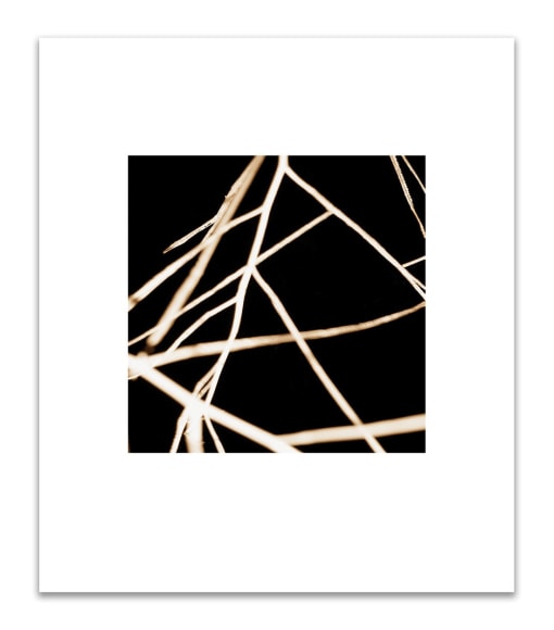 Ricardo Mazal, Noche Transformada #8, 2013, archival pigment ink print on paper, 28 x 24 inches/71.1 x 61 cm