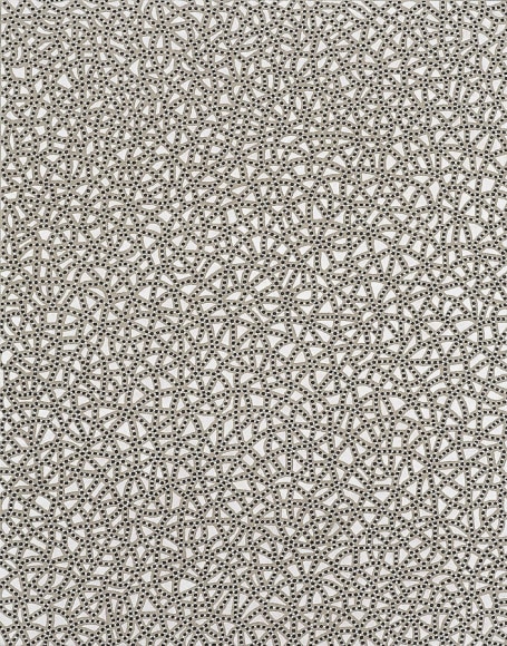 Anil Revri, Fractal xixb, 2006, mixed media on linen, 28 x 22"