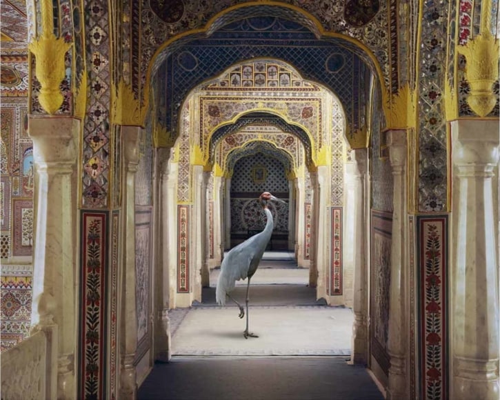 Karen Knorr, The Holding of Vigilance, Samode Palace, 2010, Hahnemühle ink jet print, 122 x 152 cm (48 x 60 inches)