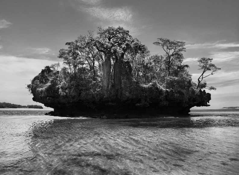 Sebasti&atilde;o Salgado
