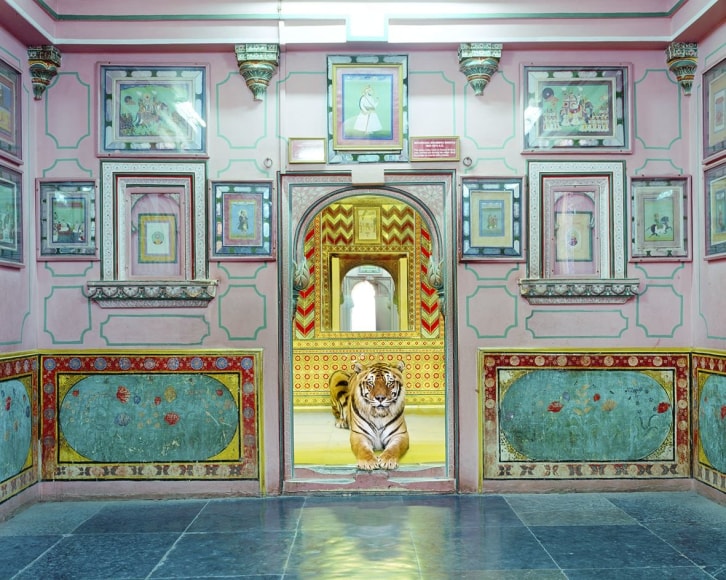 Karen Knorr, Interloper, Sheesh Mahal, Udaipur City Palace, 2019, colour pigment print on Hahnemühle Fine Art Pearl Paper, 80 x 100 cm (31.5 x 39.4 inches)