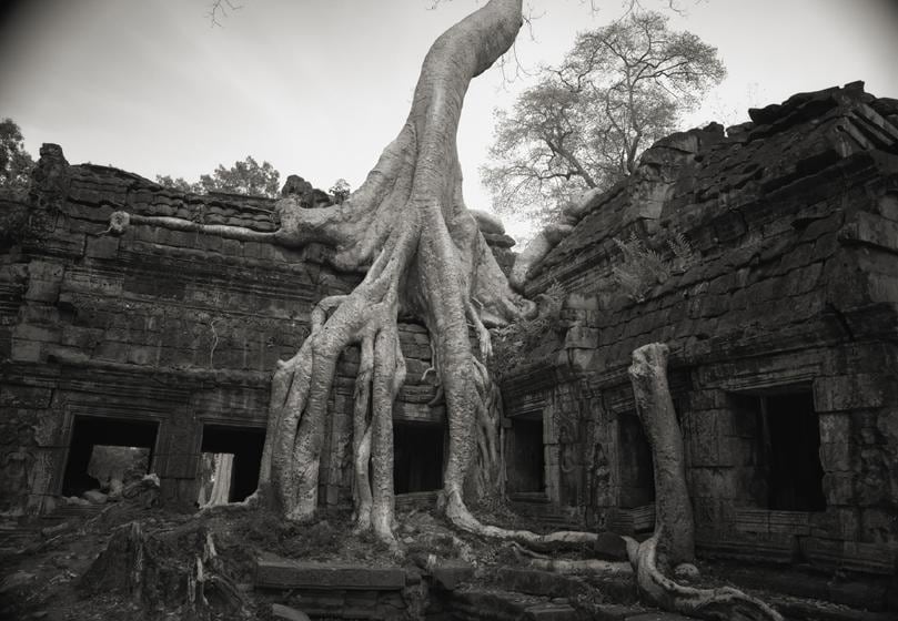 , Kenro Izu, Angkor #26, 1993, archival pigment print, 36 x 48 inches; &copy; Kenro Izu