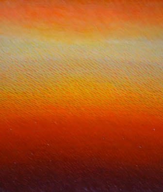 Joan Vennum, Unsuspecting Region, 2005, Oil on canvas, 80 x 70&quot;