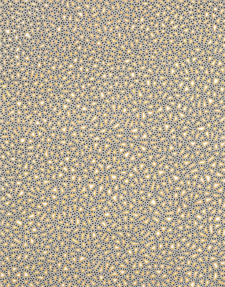 Anil Revri, Fractal xixa, 2006, mixed media on linen, 28 x 22"