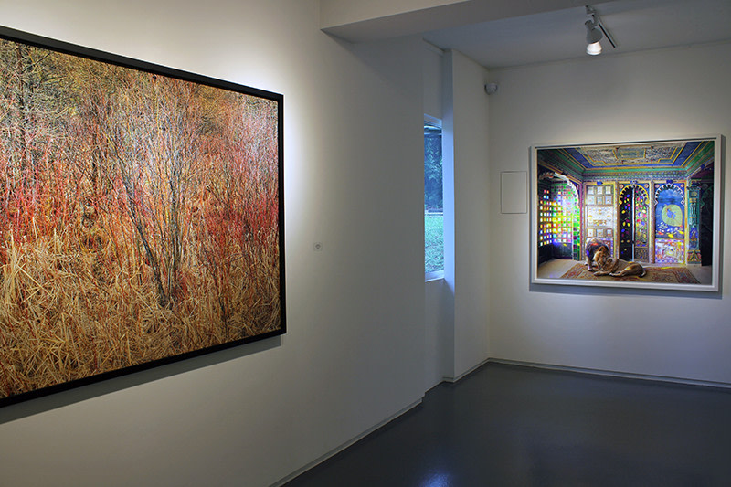 Sundaram Tagore Gallery Survey