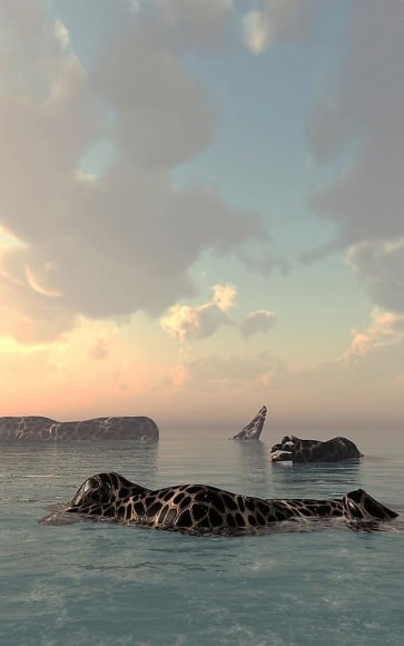 , Kim Joon, Island-Turtle, 2013, digital print, 63 x 39.4 inches