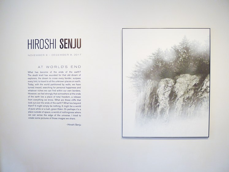 HIroshi Senju (千住博)