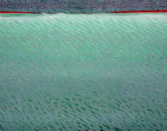 Joan Vennum, Cover, 2002, Oil on canvas, 24 x 29&quot;