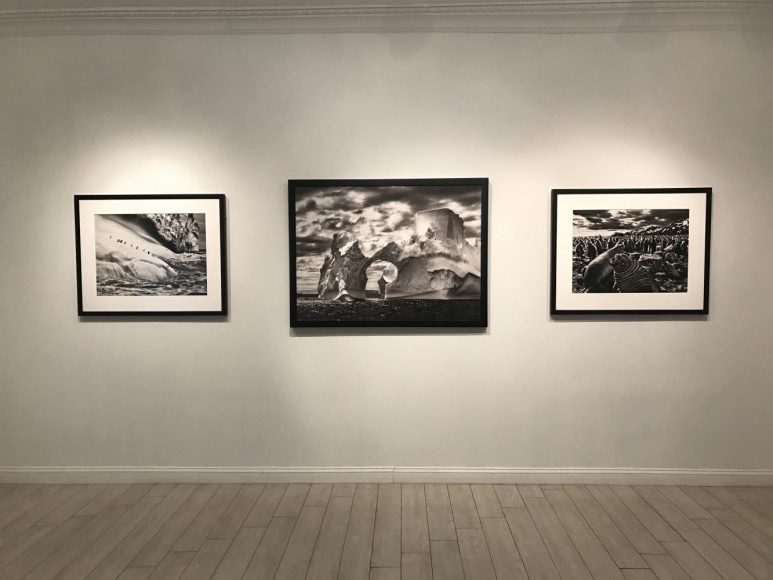 Sebasti&atilde;o Salgado: Selections from Genesis