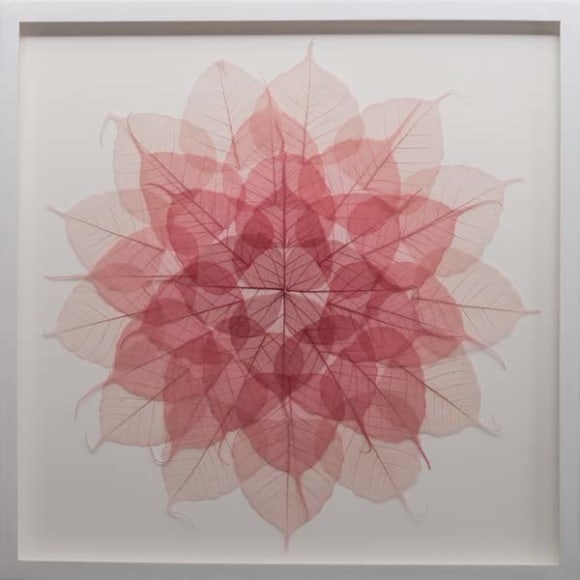 Red Leaf Meditation Mandala, 2015, dyed bodhi ficus religiosa skeleton leaves monofilament