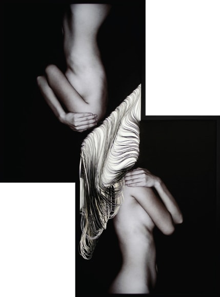 Ignorance, 2015,&nbsp;C-type print and hand-cut canvas,&nbsp;51 x 37.3&nbsp;inches/130 x 95 cm