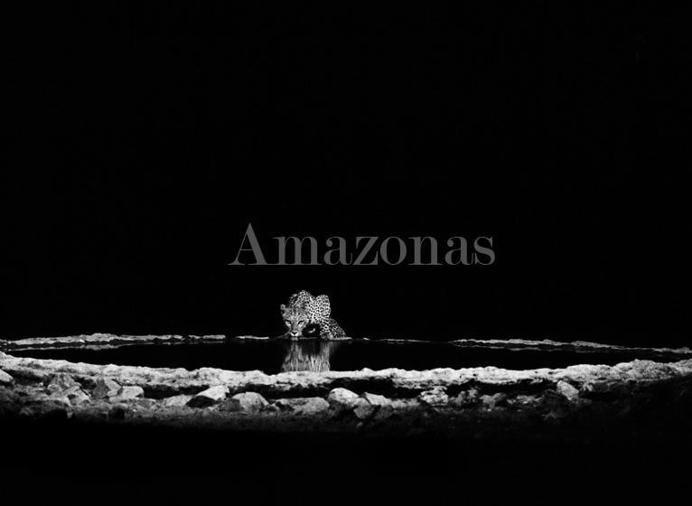 Sebasti&atilde;o Salgado, Leopard in the Barab River Valley, Damaraland, Namibia, 2005, gelatin silver print, 24 x 35 inches/60 x 90 cm. &copy; Sebasti&atilde;o Salgado/Amazonas Images