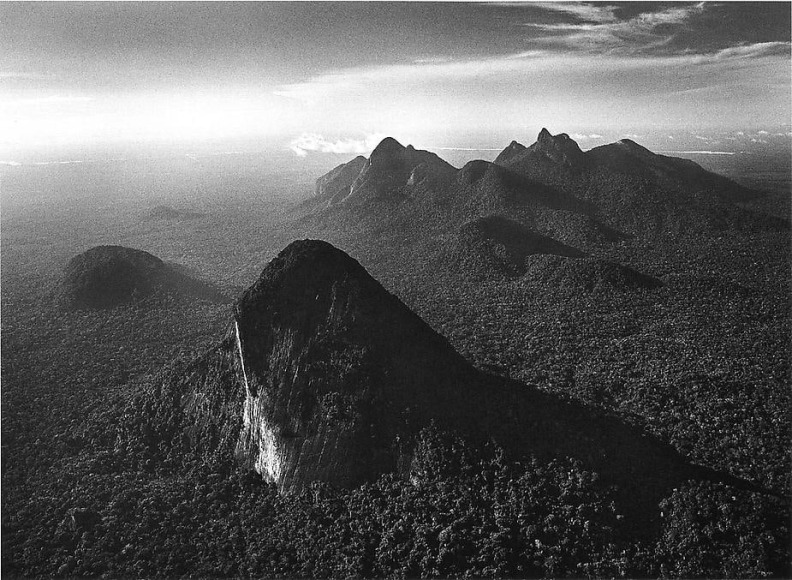 Amazon Forest, State of Amazonas, Brazil &copy; Sebasti&atilde;o Salgado/Amazonas Images, 2009 