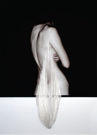 , Desolation, 2015, C-type print and hand-cut canvas, 44.1 x 43.7 inches/112 x 111 cm