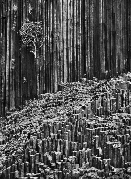 Sebasti&atilde;o Salgado