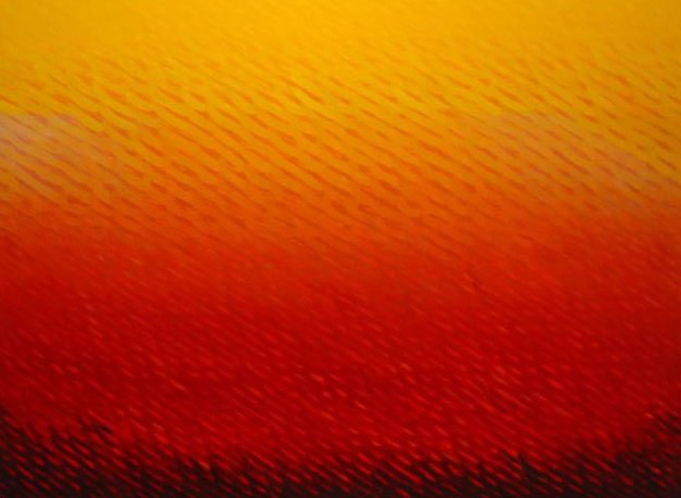Joan Vennum, Destination Unrecorded, 2005, Oil on canvas, 60 x 80&quot;