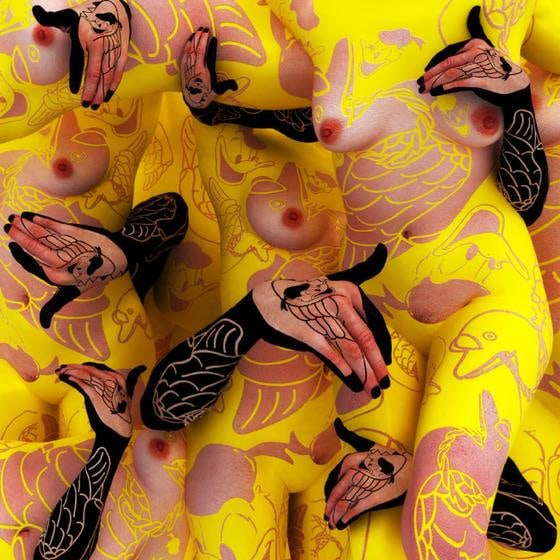 , Kim Joon, Bird Land-Donald Duck, 2008, digital print, 47 x 47 inches / 94 x 94 cm., Edition 2/5.