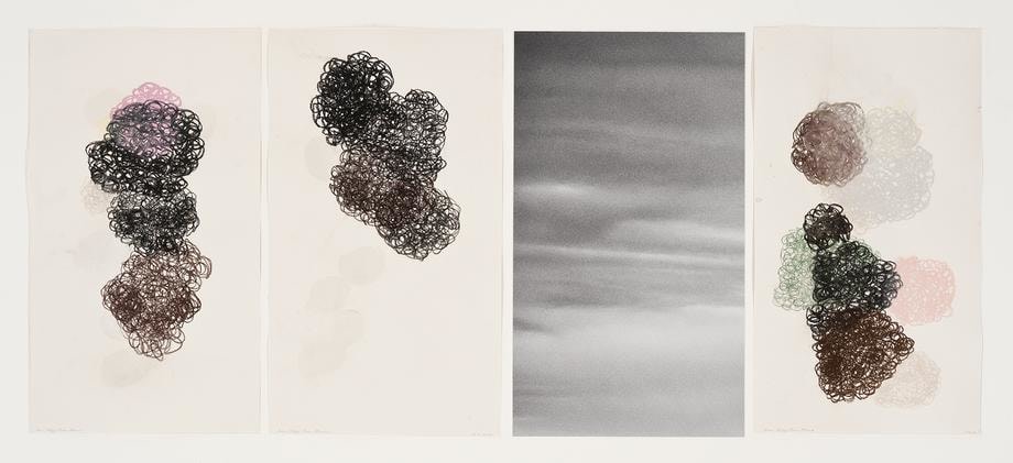 , Saar Elegy: From Above, 2014, three works on paper, one photograph, 29.5 x 74 inches/75 x 188 cm