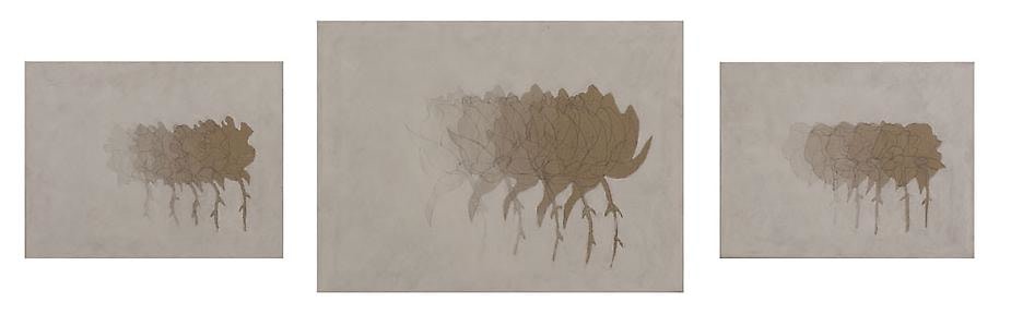 A Rose Is A Rose (Ralph), 2006, pencil and oil paint on linen, 18 x 61 inches
