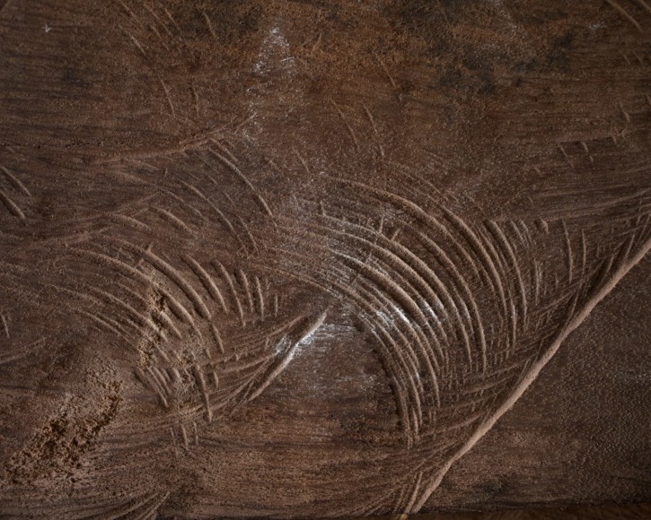 Gayatri Ganju, Marks from the Girl Who Cried Wolf, 2016, archival inkjet print, 25.4 x 20.3 cm (10 x 8 inches)