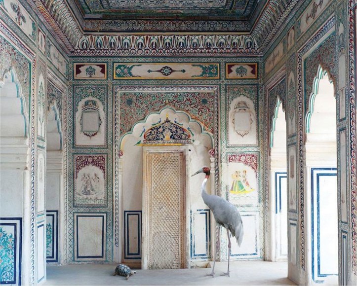 Karen Knorr, Amrita&rsquo;s Message, Nagaur Fort, Nagaur, 2012, colour pigment print on Hahnem&uuml;hle Fine Art Pearl Paper, 122 x 152 cm (48 x 60 inches)