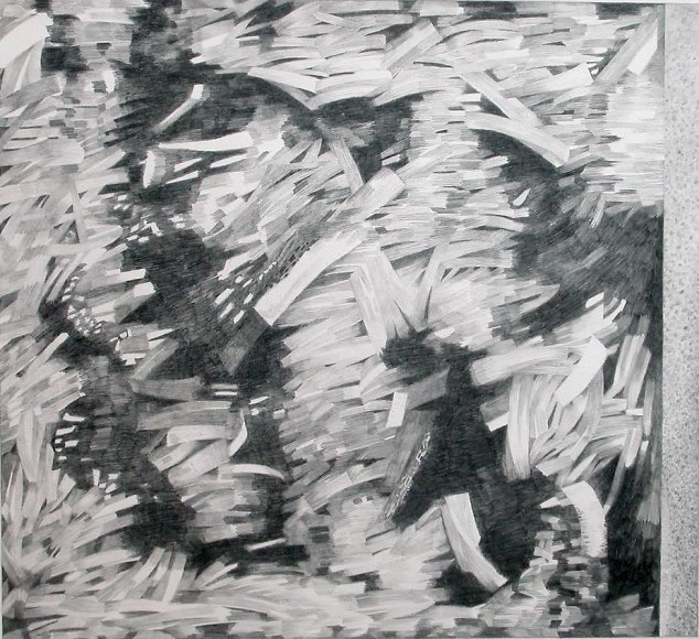 Judith Murray Ea, 2006  Graphite on arches paper  22.5 x 30&quot;