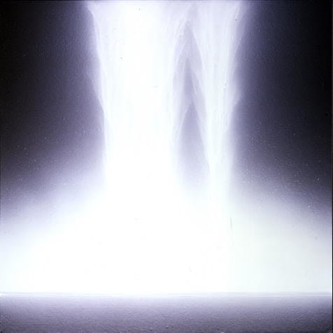 Hiroshi Senju Falling White, 2006