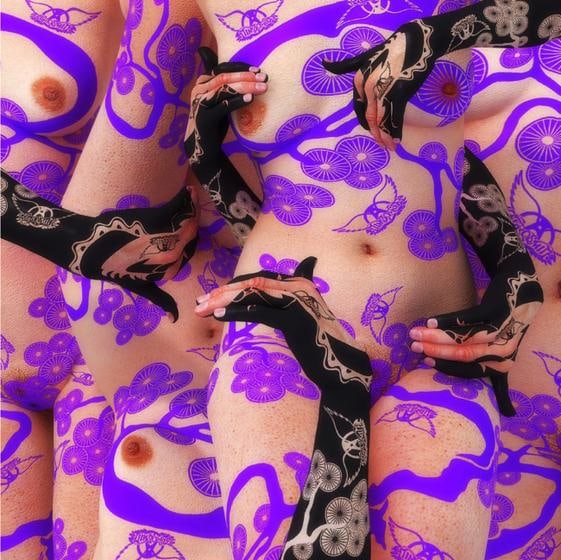 , Kim Joon, Bird Land-Aerosmith, 2008, digital print, 47 x 47 inches / 94 x 94 cm., Edition 5/5.