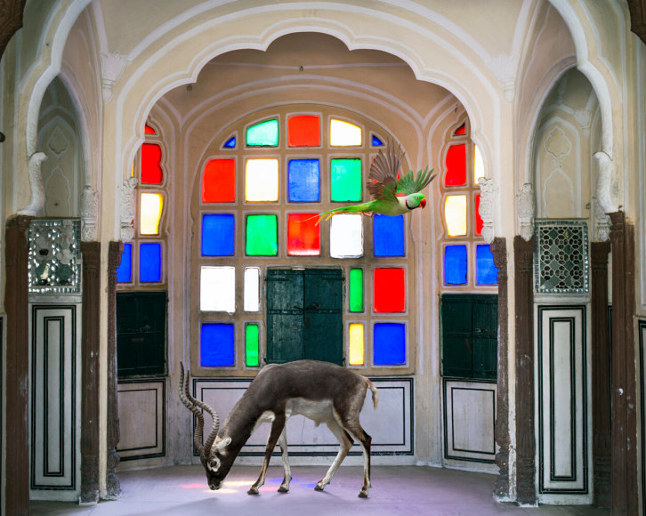 Karen Knorr, Krishna’s Crown, Jawa Mahal, Jaipur, 2016, pigment print on Hahnemühle FineArt Photo Rag Baryta 315gsm paper