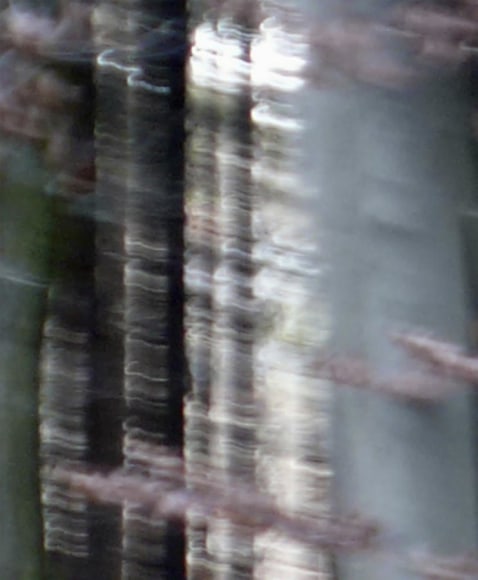 ODENWALD 1152 PH6, Pigment ink print on paper, 30 x 24&quot;