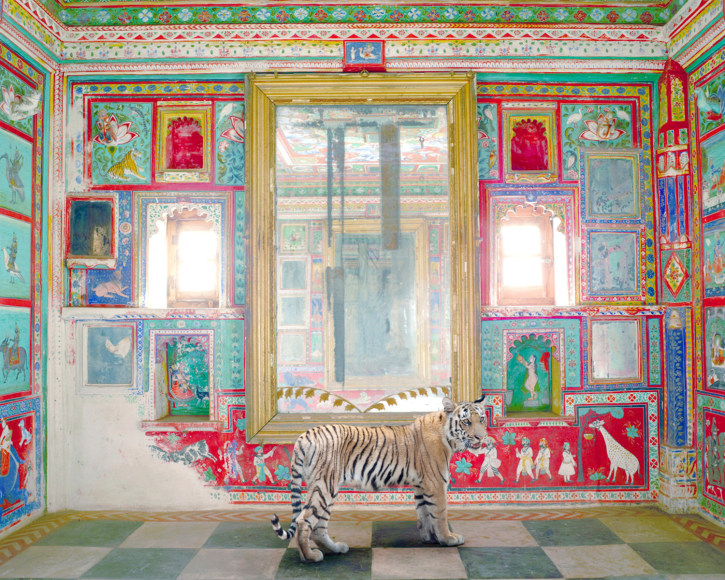 Karen Knorr, Durga’s Mount, Junha Mahal, Dungarpur, 2012, colour pigment print on Hahnemühle Fine Art Pearl Paper, 60 x 76.2 cm (23.6 x 30 inches)
