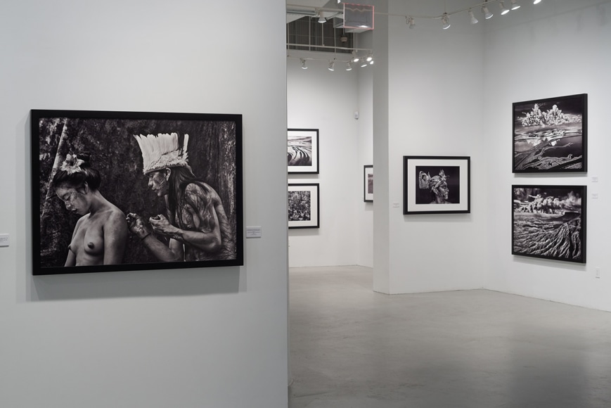 Sebasti&atilde;o Salgado: Amaz&ocirc;nia