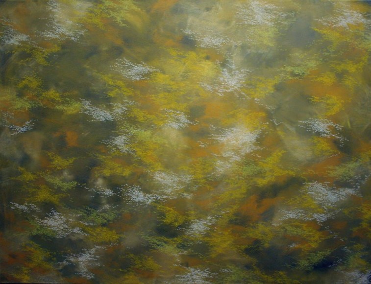 Hosook Kang,  Tickles , 2008, Acrylic on canvas, 48 x 63&quot;