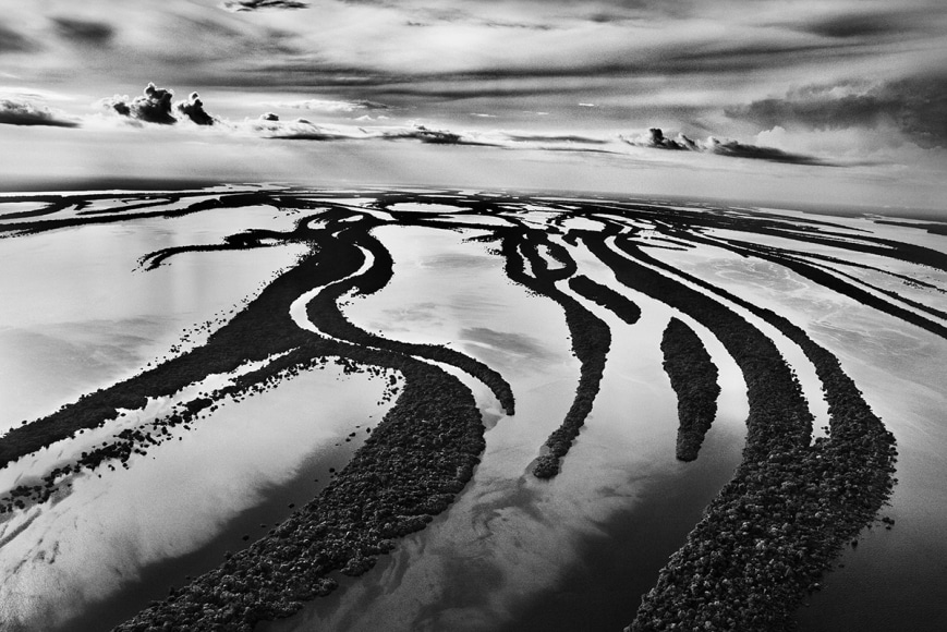 Sebasti&atilde;o Salgado, The backwater of the Rio Negro, Anavilhanas National Park, state of Amazonas, Brazil, 2009, gelatin silver print, 61 x 88.9 cm (24 x 35 inches)