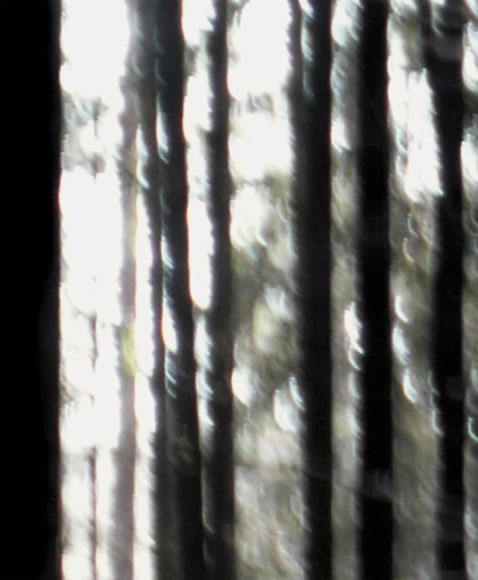 ODENWALD 1152 PH1, Pigment ink print on paper, 30 x 24&quot;