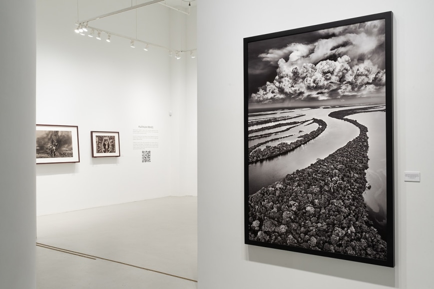 Sebasti&atilde;o Salgado: Amaz&ocirc;nia