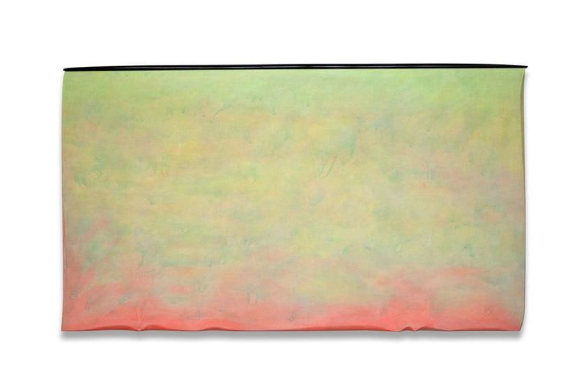 , Robert Yasuda, Origins, 2013, acrylic on fabric on wood, 36 x 64 inches / 91 x 162.6 cm