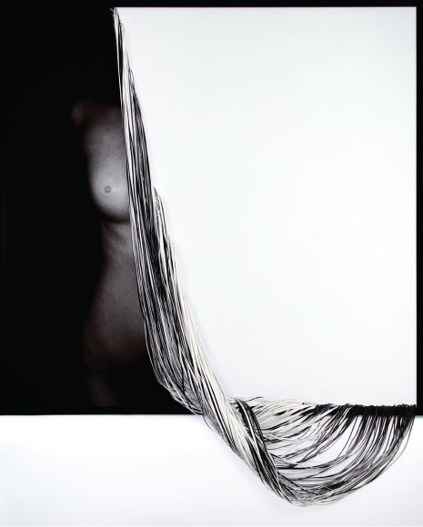 Loss, 2015,&nbsp;C-type print and hand-cut canvas,&nbsp;43.7 x 42.5 inches/111 x 108 cm