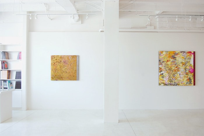 Judith Murray: Continuum