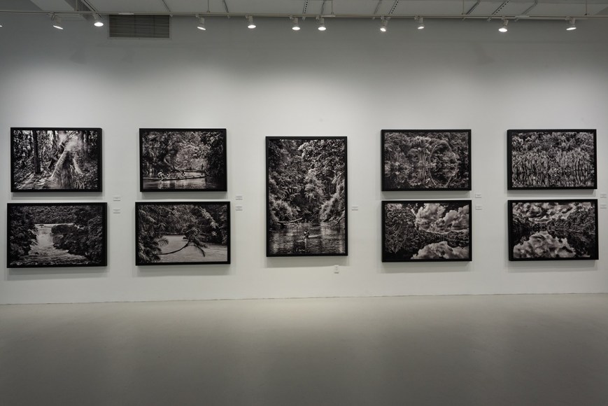 Sebasti&atilde;o Salgado: Amaz&ocirc;nia