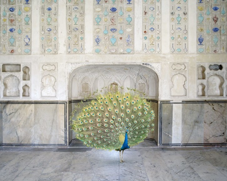 Karen Knorr, Master of Seduction, Amer Fort, Amer, 2017, colour pigment print on Hahnemühle Fine Art Pearl Paper, 122 x 152 cm (48 x 60 inches)