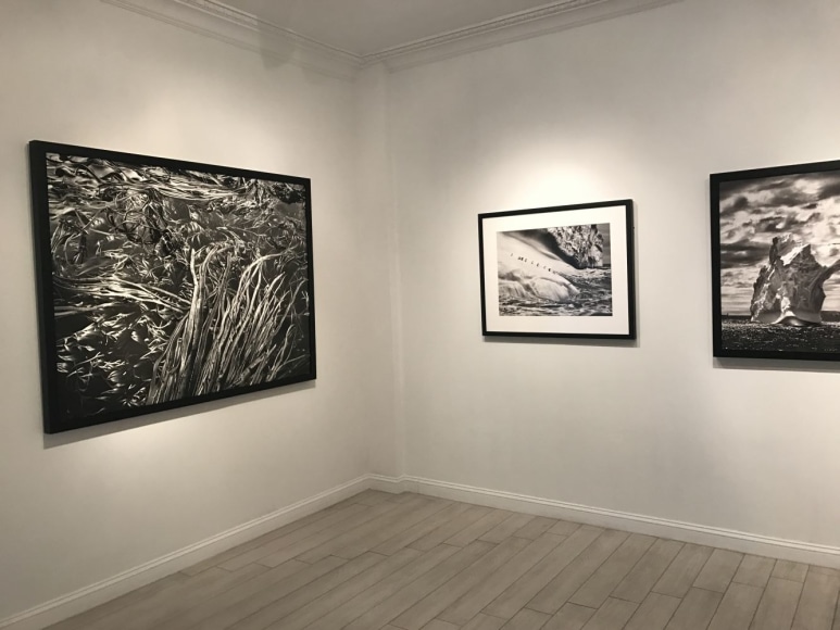 Sebasti&atilde;o Salgado: Selections from Genesis